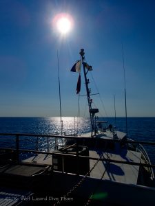 MV Fling, May 2016