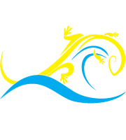 Wet Lizard Dive Team